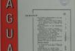 Revista Agua N° 4 - 5